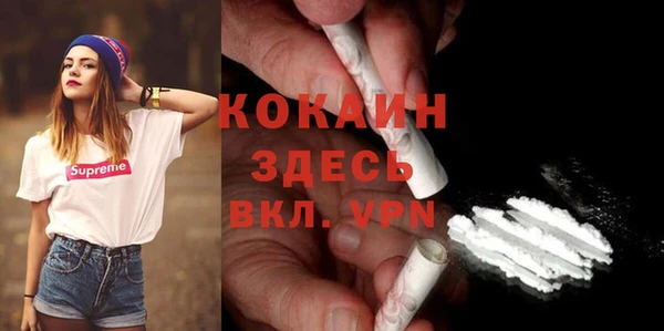 apvp Алексин