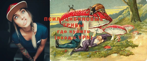 apvp Алексин